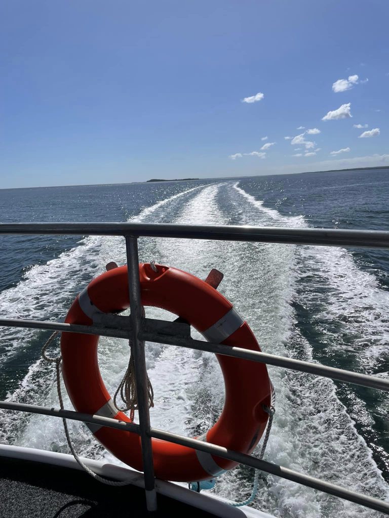 Fraser Island. Udsigt fra båden mens vi sejler tilbage mod land. På billedet ses vores kølvandsstribe.