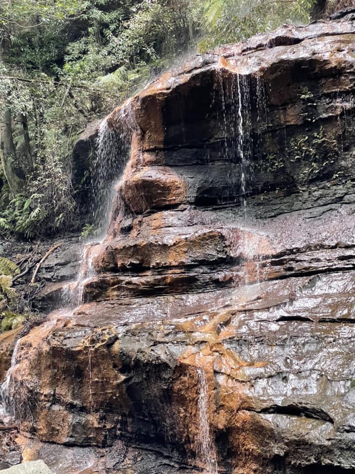 Sydney Blue Mountains. Vandfald på vej ind i regnskoven.
