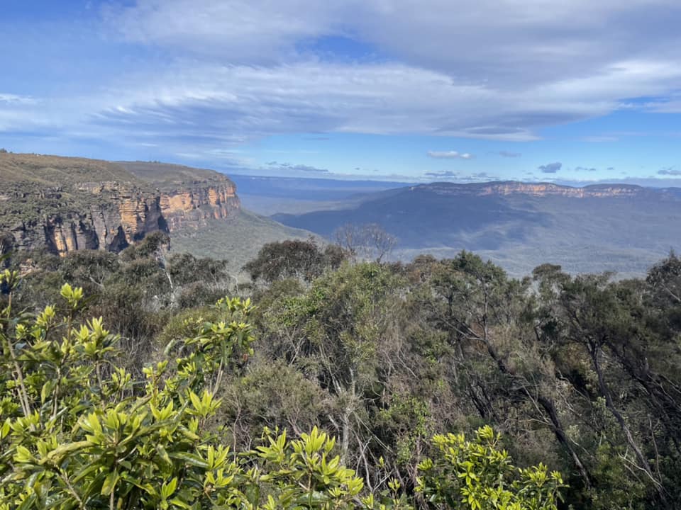 Sydney Blue Mountains. Lyset på klipperne når de rammes af sollyset. Udsigt over træerne ned i dalen