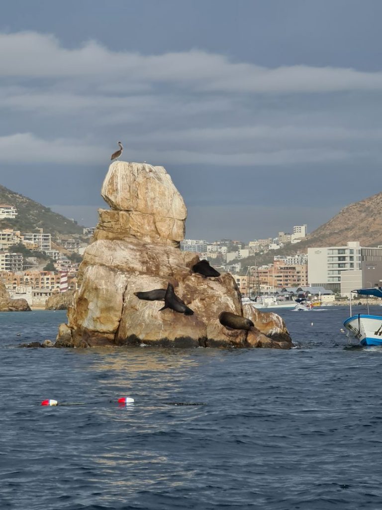 Pelican Rock. Cabo San Lucas