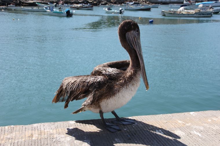 Manzanillo, Mexico