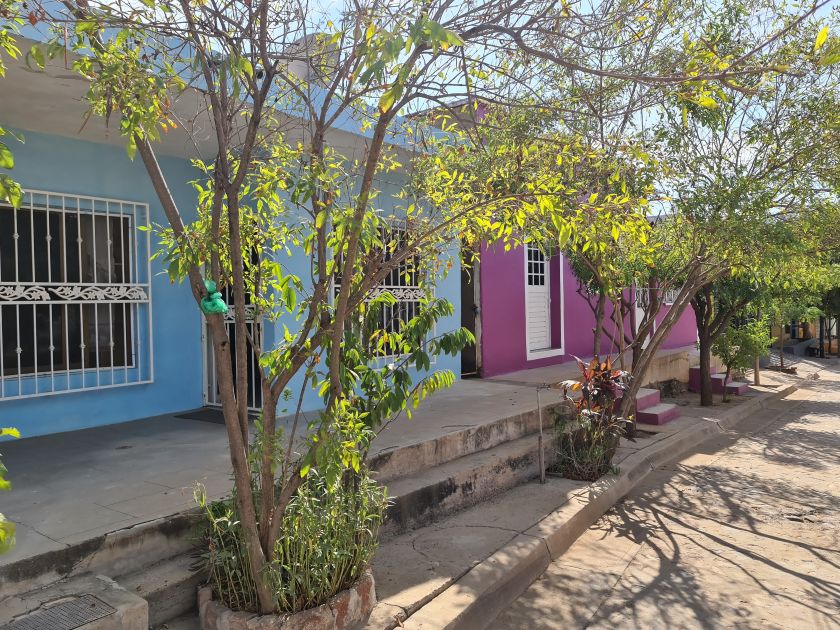 På bustur i Mexicos bagland. Blå og lilla huse