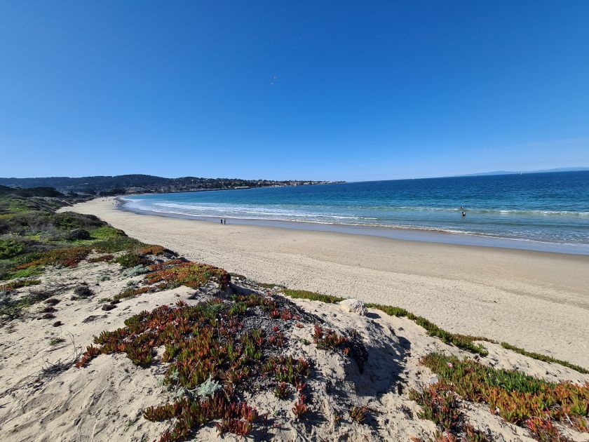 Nuturbilleder Montery. Monterey - Californien.