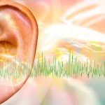 hearing damage concert or festival tinnitus