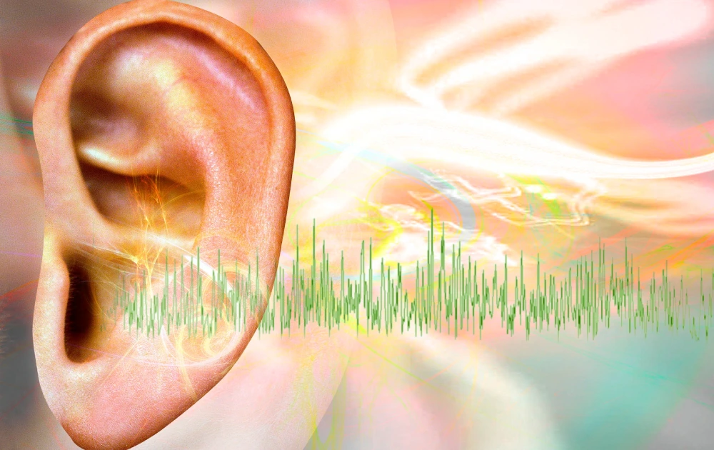 hearing damage concert or festival tinnitus