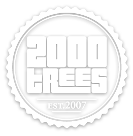 2000trees festival logo