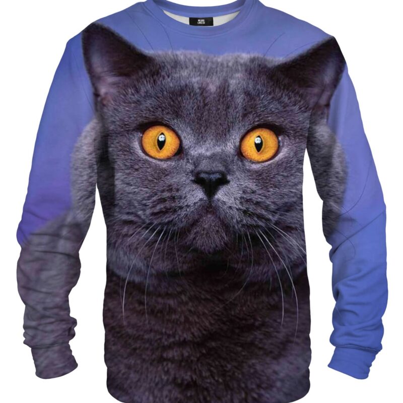 British Cat sweater