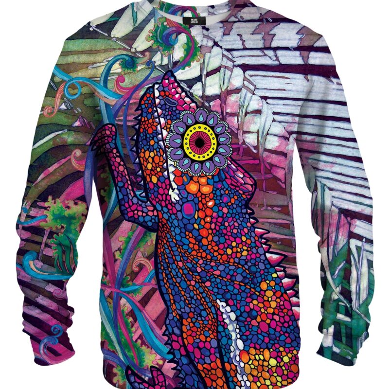Chameleon sweater
