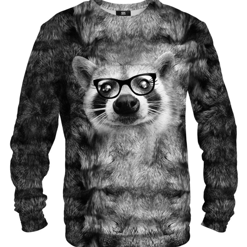 Hipster Raccoon sweater