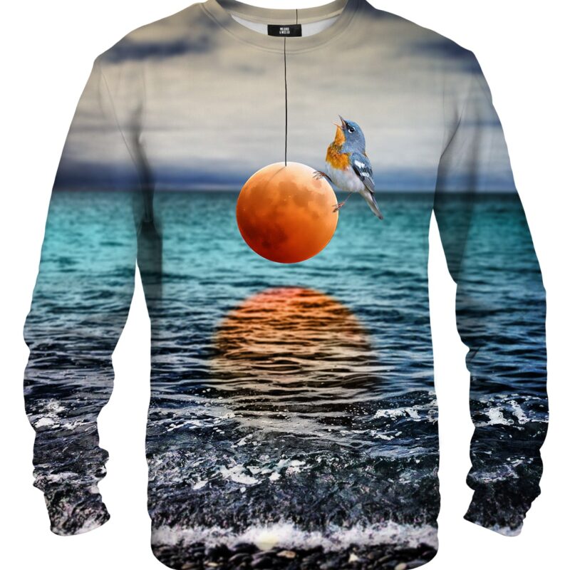 Little Bird sweater