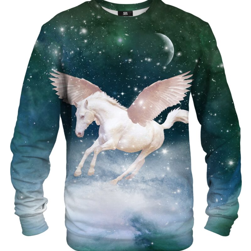 Pegasus sweater