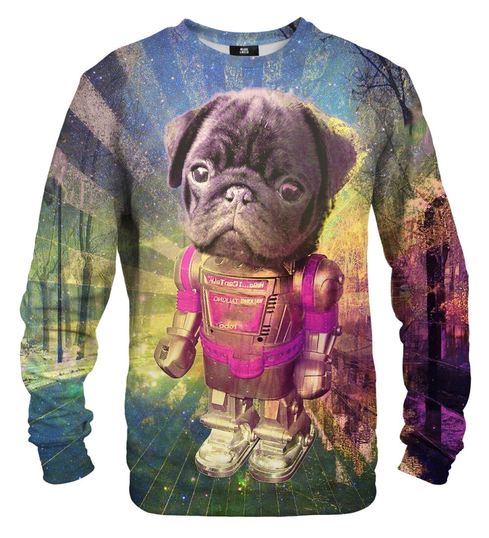 Robodog sweater