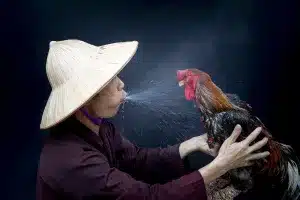 Man in Traditional Asian Hat Spitting Water on a Rooster