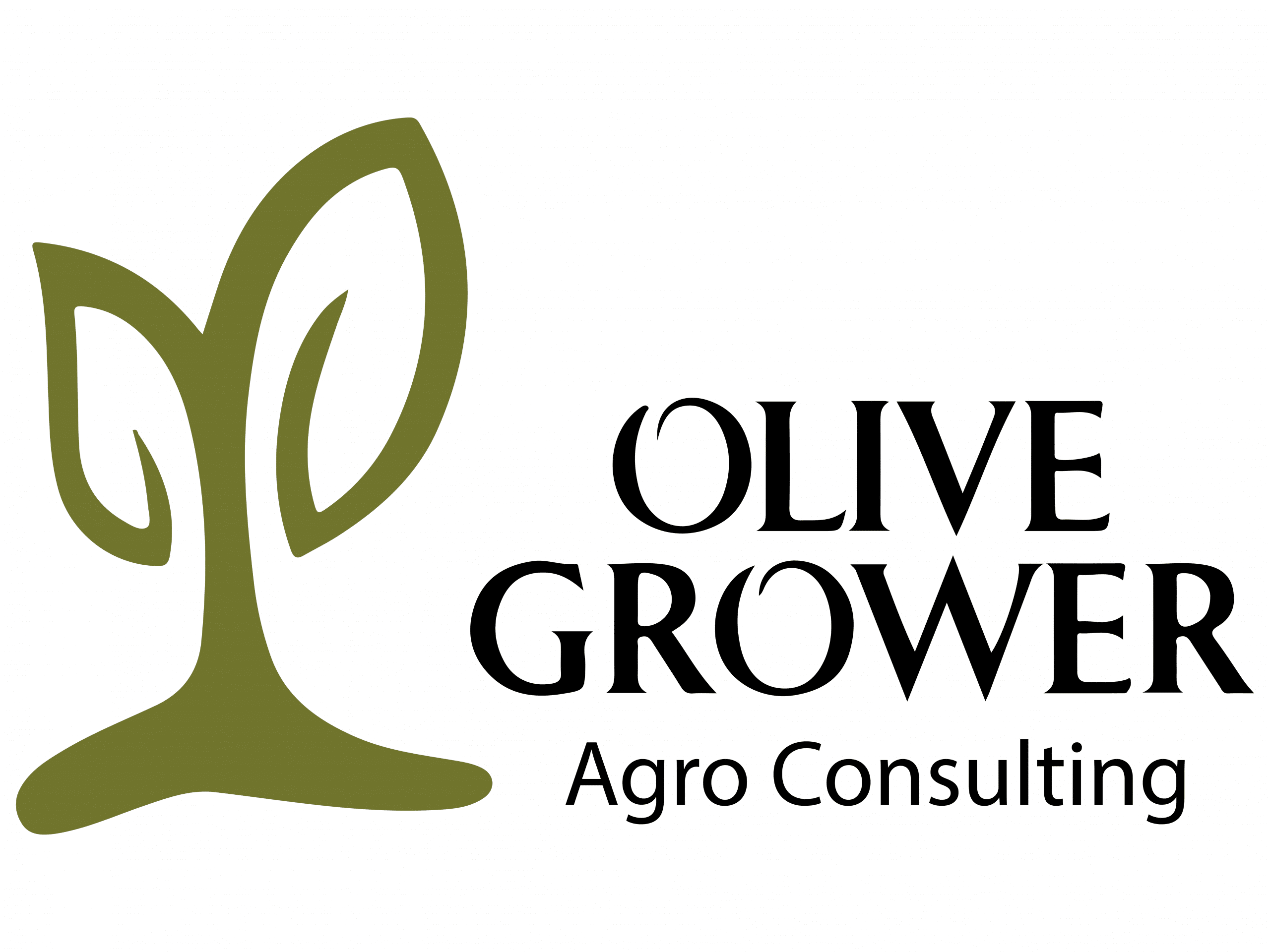 Olive Grower