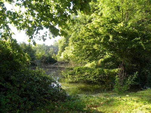 Borlo, Kasteeldomein van Hasselbroek