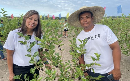 Sowing Hope: An OFW’s Journey Back to the Land