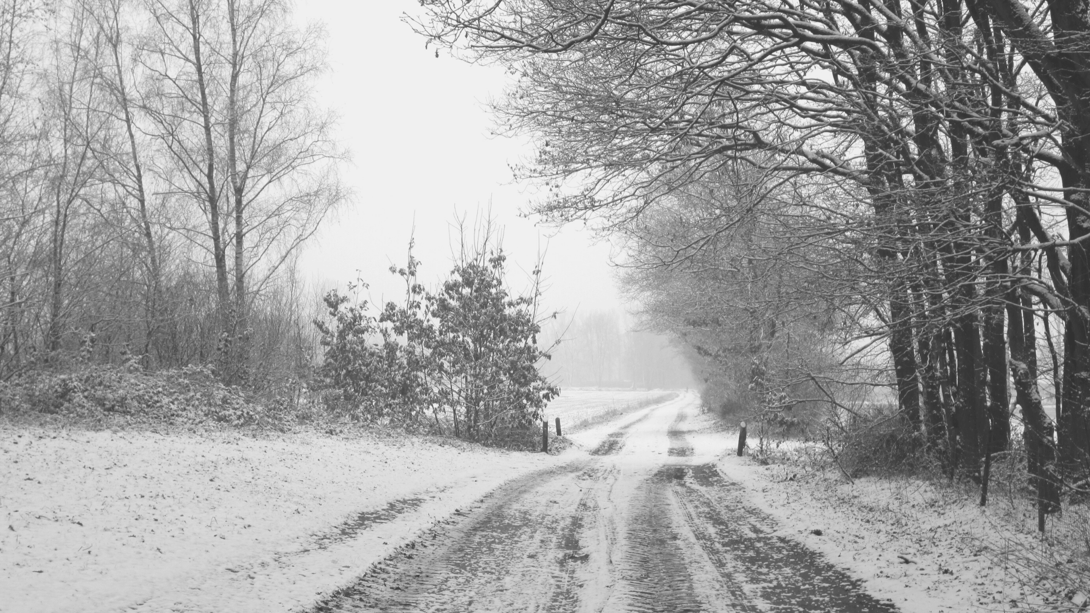 winter hardlopen