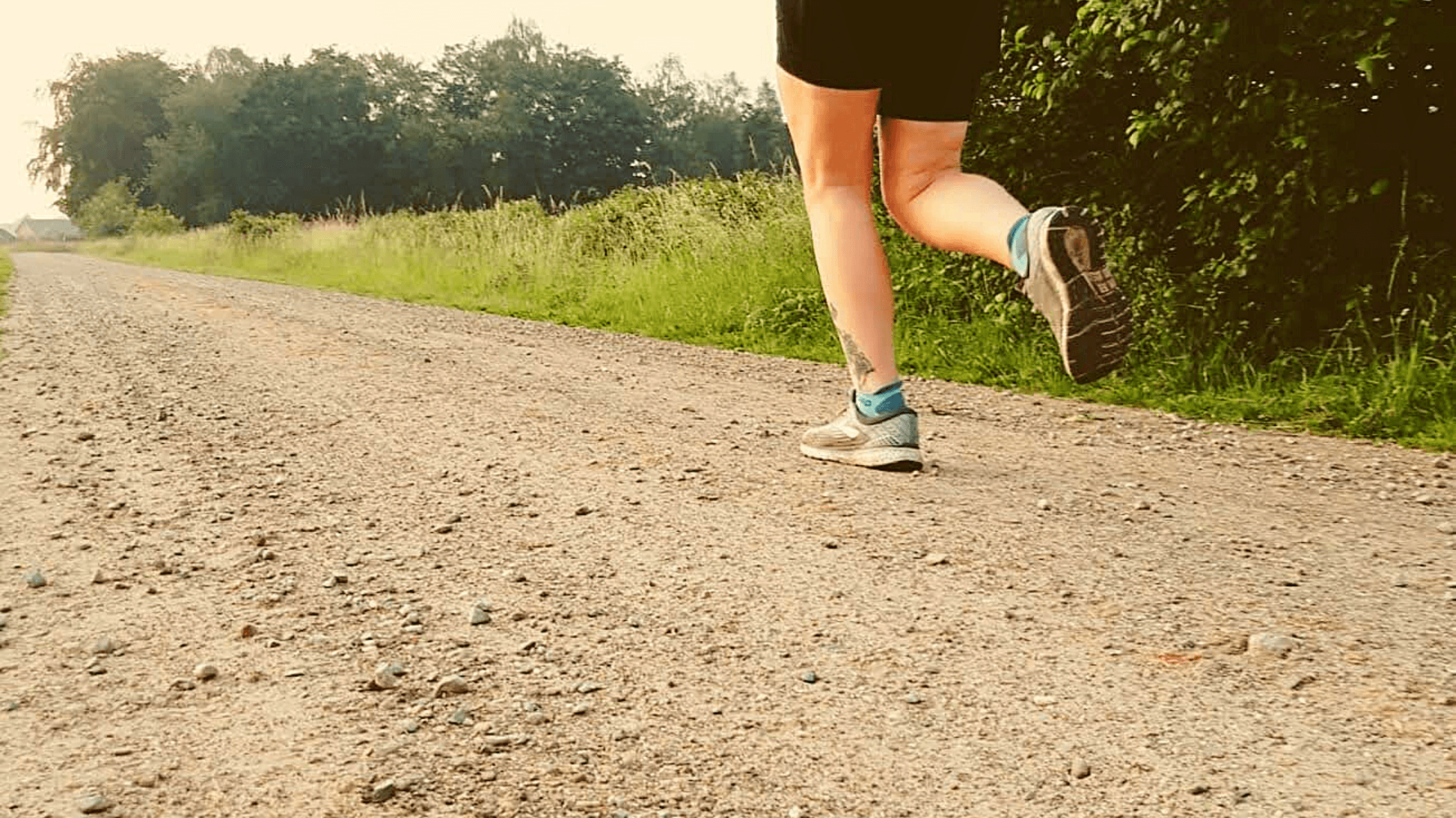 gepolariseerd trainen