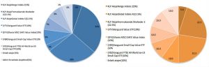 Aksjeporteføljens sammensetning i september 2017