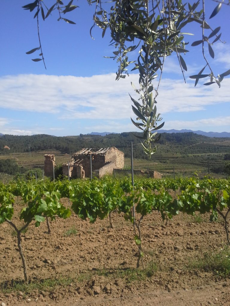 vineyard countyhouse for sale in the DO Montsant Tarragona Catalonia Spain