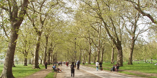 Hyde Park