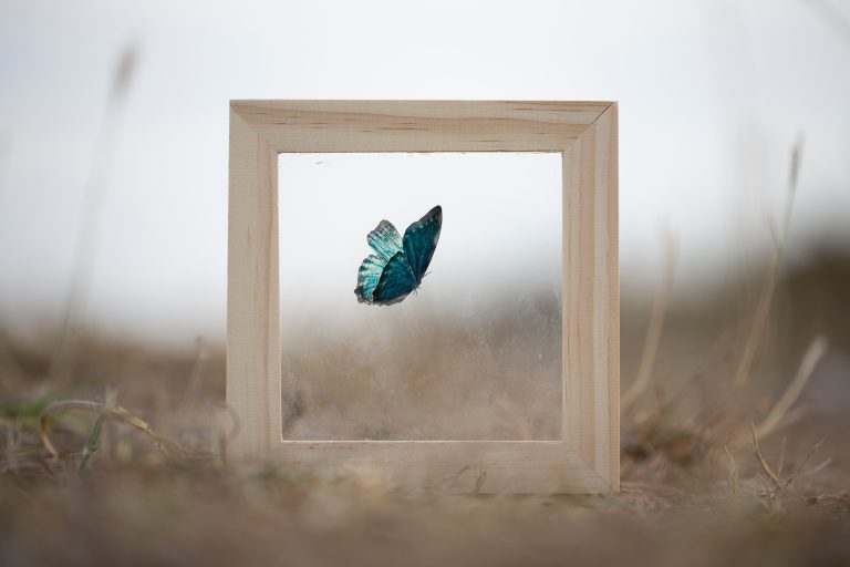 FineART Style Bilderrahmen - Picture Frame