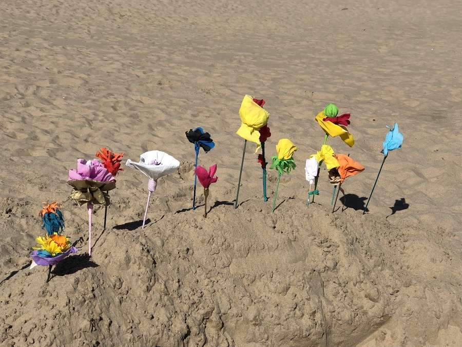 Les magasins de fleurs à la Mer du Nord : Une certaine notion de la monnaie