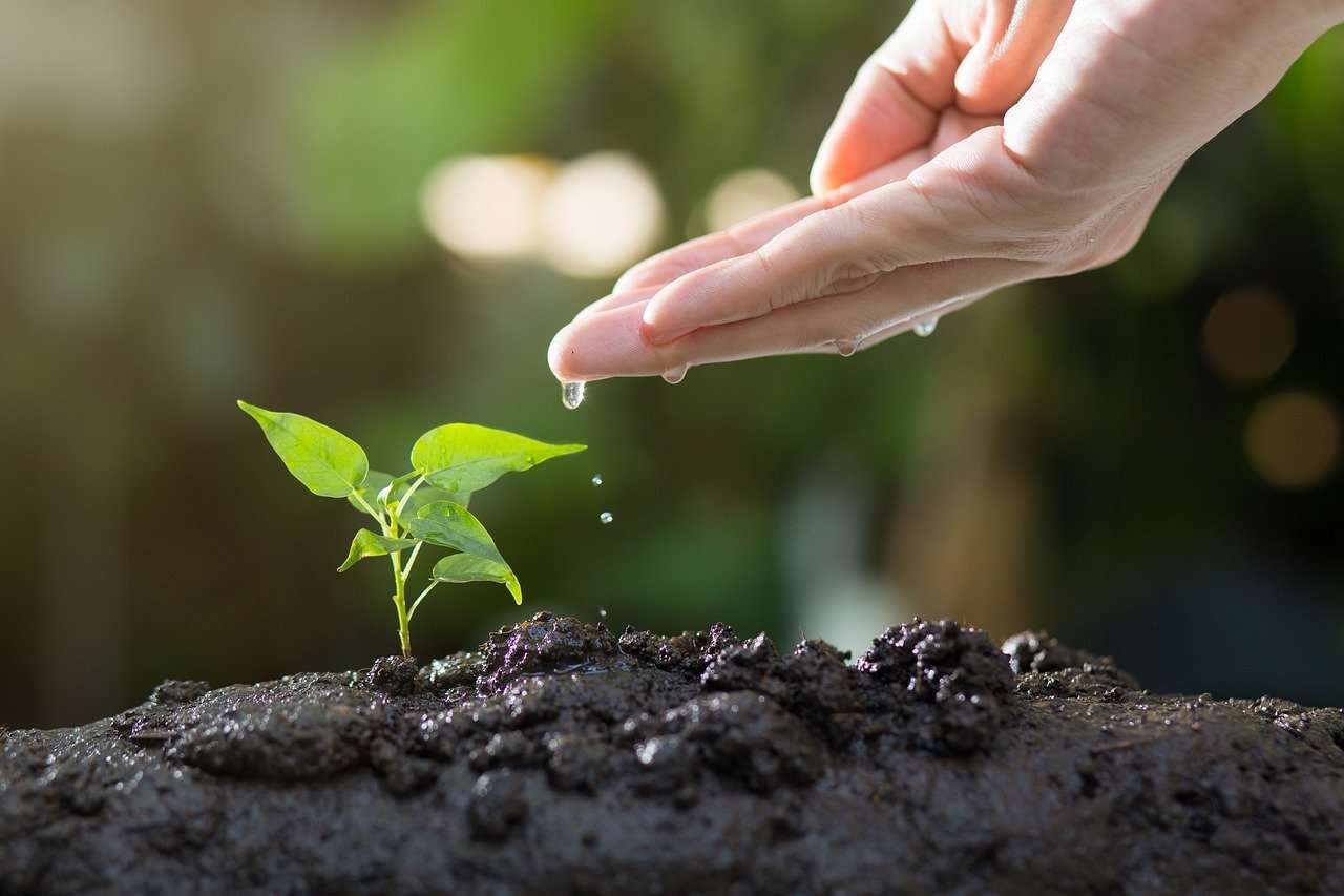 Landbouw: vandaag investeren om de wereld van morgen te voeden