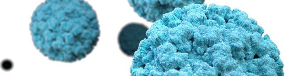 header norovirus e