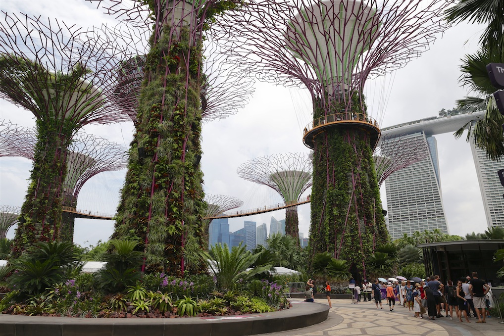 Gardens by the Bay med supertræer