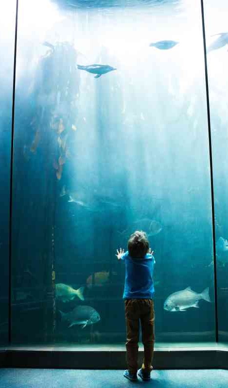 aquarium belechtung aquarium belechtung