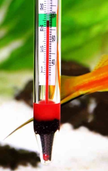 aquarium thermometer aquarium thermometer