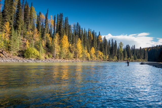 Steelhead wake fly fishing Steelhead wake fly fishing