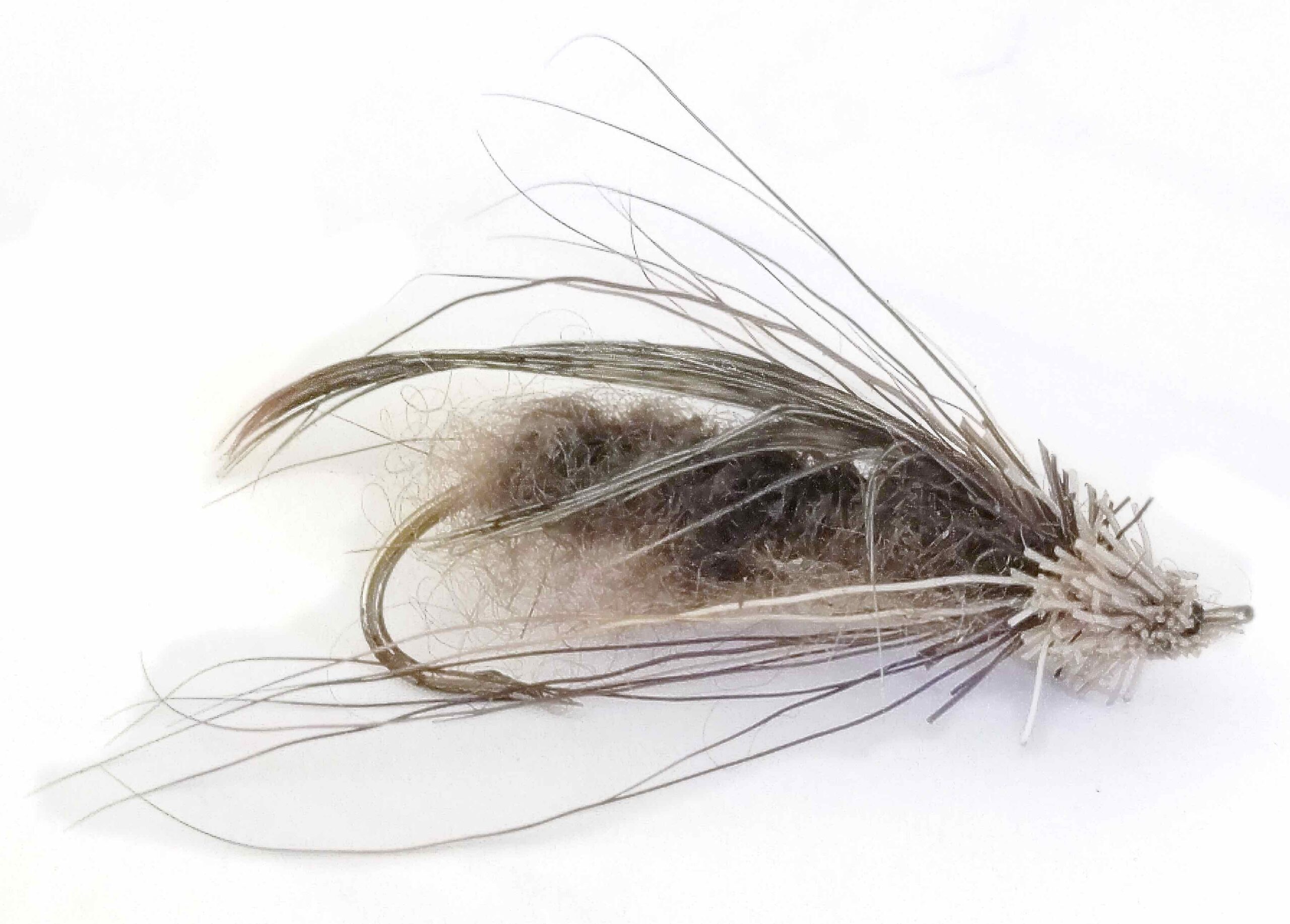 Thompson river caddis Thompson river caddis