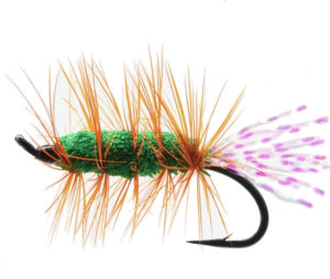 Glitter Bug Green and Orange # 10 Glitter Bug Green and Orange # 10