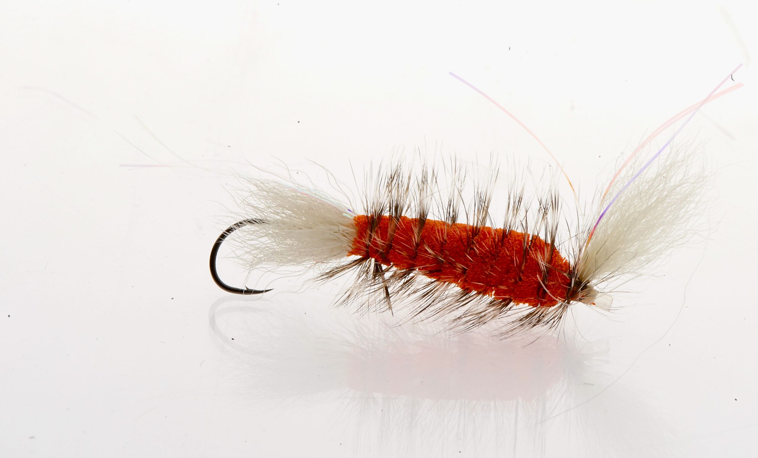 Tube-Bomber Orange Big # 4 - 1 Pacific salmon on dry fly