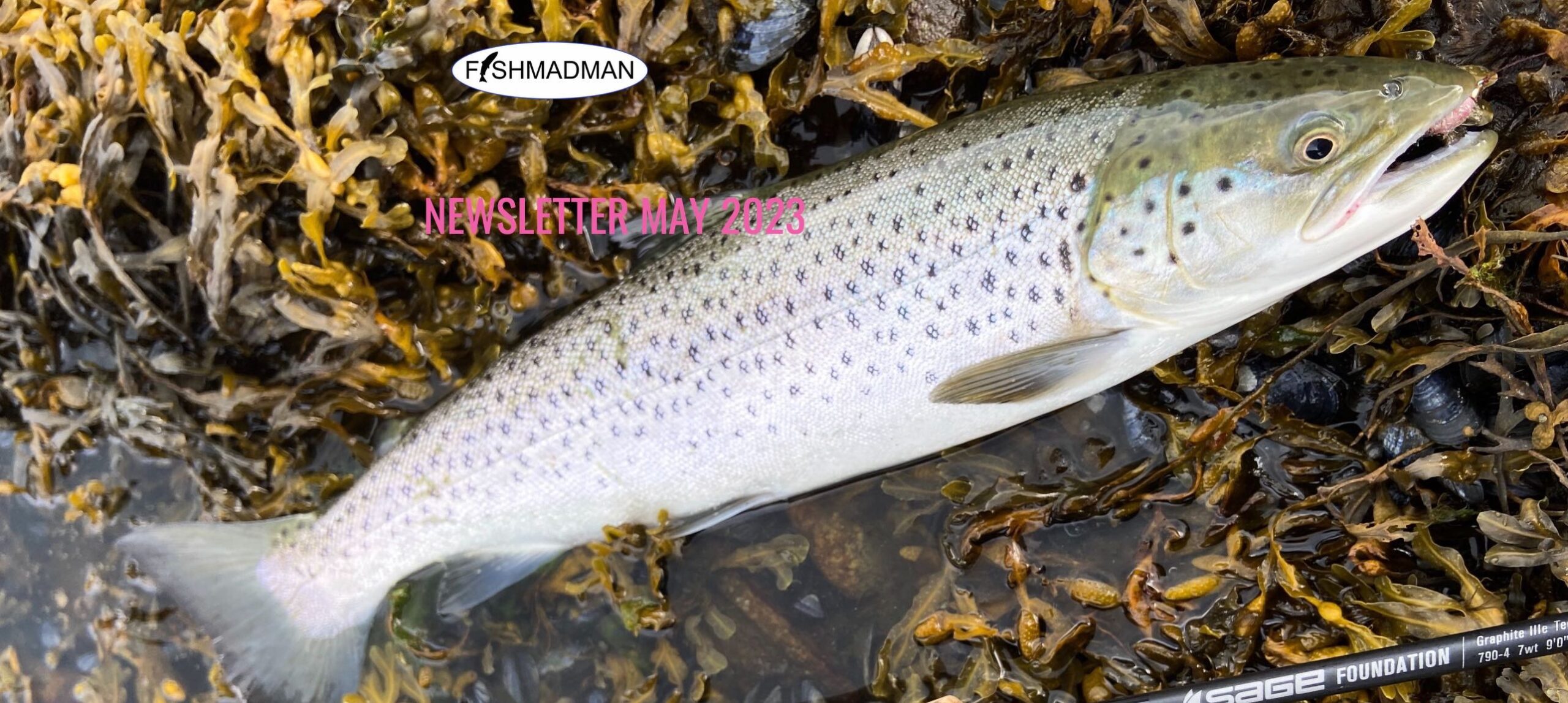 Fishmadman Newsletter May 2023 Fishmadman Newsletter May 2023