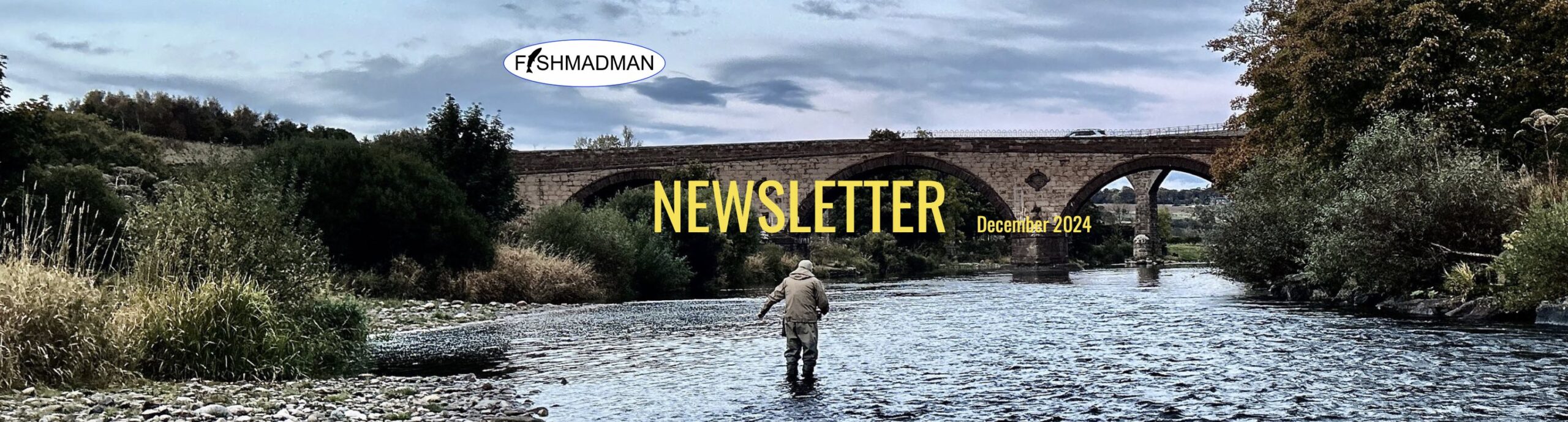 Screenshot Fishmadman Newsletter December 2024