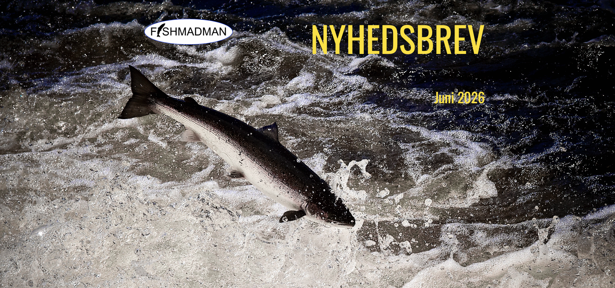 Newsletter Fishmadman 2026 June Nyhedsbrev Fishmadman 2026 juni