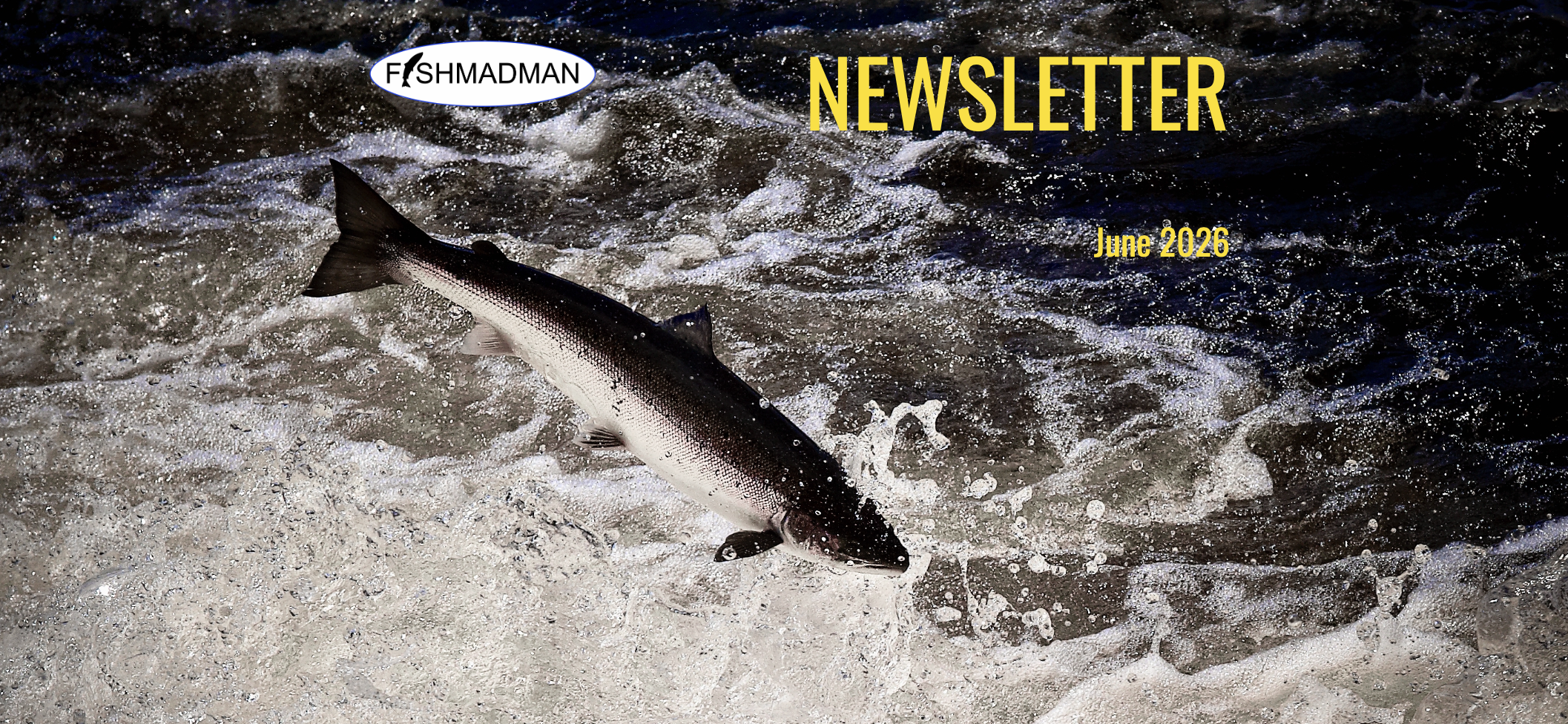 Newsletter Fishmadman UK - June 2026 Fishmadman Newsletter June 2026
