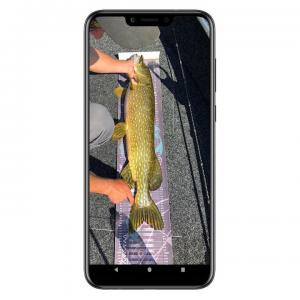 fish trace Fangbuch App