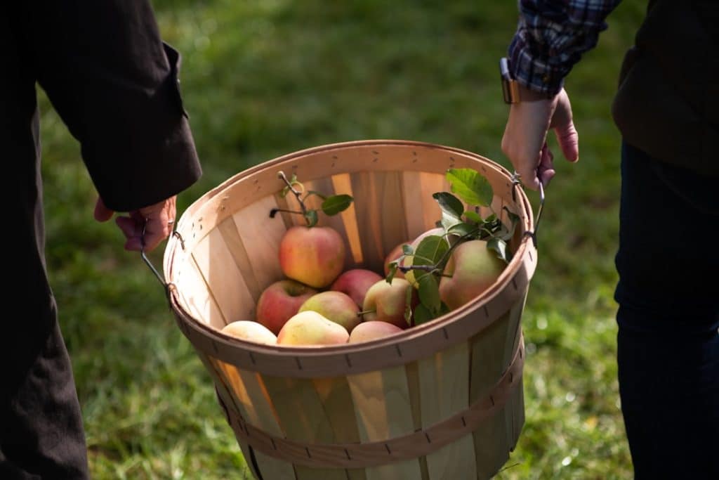Photo Fruit basket