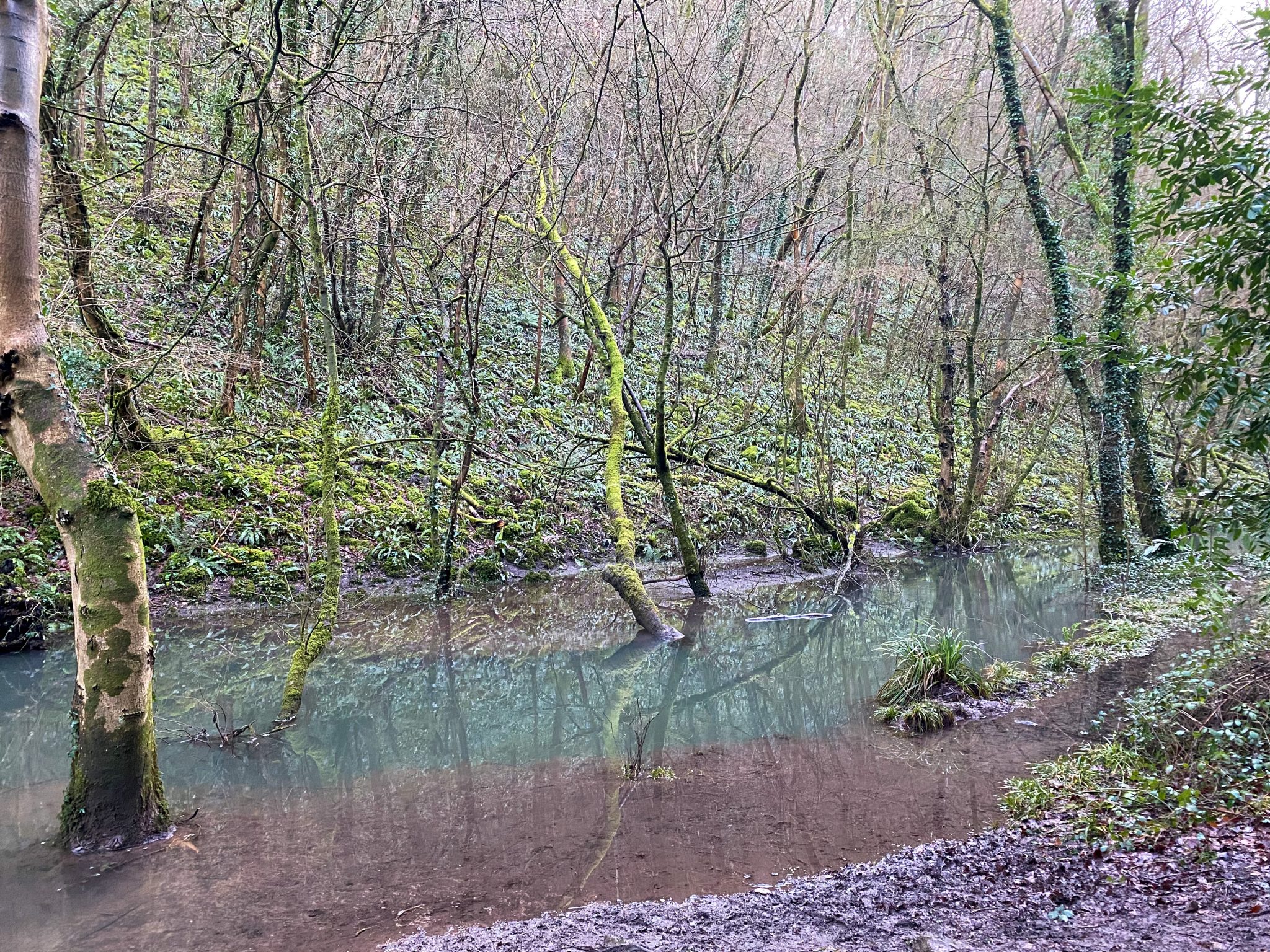 Salmon Leaps walk Fit For Adventure
