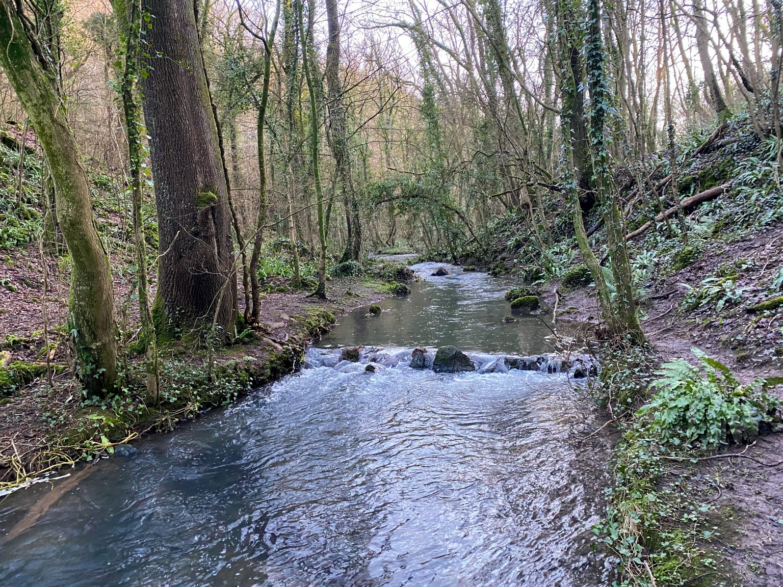 Salmon Leaps walk Fit For Adventure