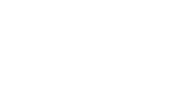 levoit logo hvit