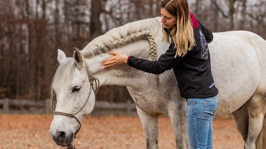 Unterhals beim Pferd lockern: Faszientherapie!