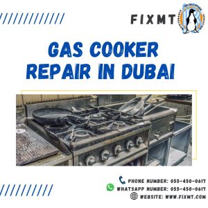 Gas Cooker Maintenance