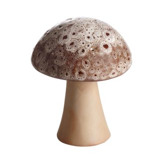 Mogi home Fungus stor