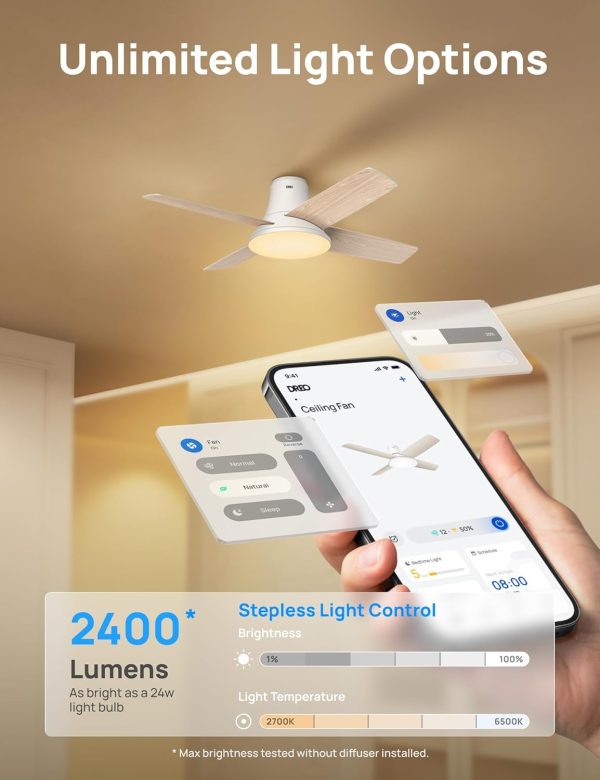 Dreo Ceiling Fans with Lights, 12 Speeds & 3 Fan Modes, Quiet DC Motor, Low Profile Easy to Install, Flush Mount Smart Ceiling Fan with Dimmable LED, 12H Timer for Bedroom, Remote, Silver, 44'' - Image 18