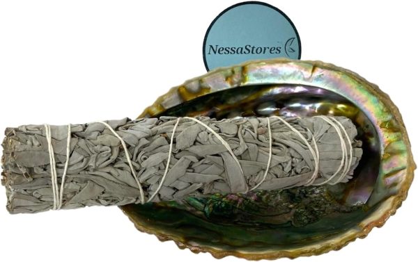 2 pc | Abalone Shell 6"-7" Inches & Tripod Stand 6 Inches | Beautiful All Natural Smudge Bowl - Perfect for Smudge Sticks, Incense Sticks and a Sage Smudge Kit. JC-213-B - Image 5